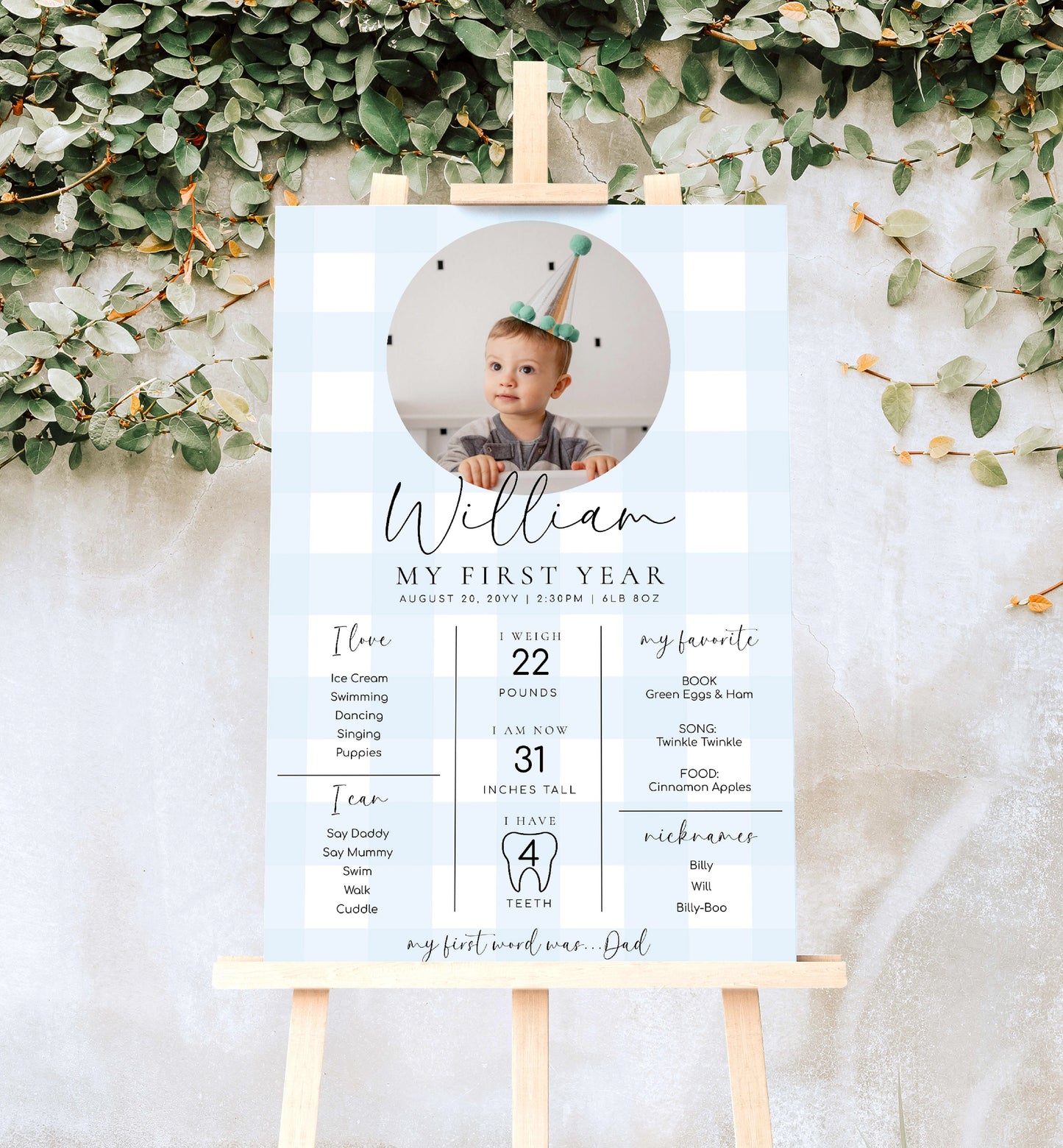 Printable Baby Milestone Board, Blue Gingham Check, Babys First Year Poster, 1st Birthday 12 Months Milestone Photo Banner Sign