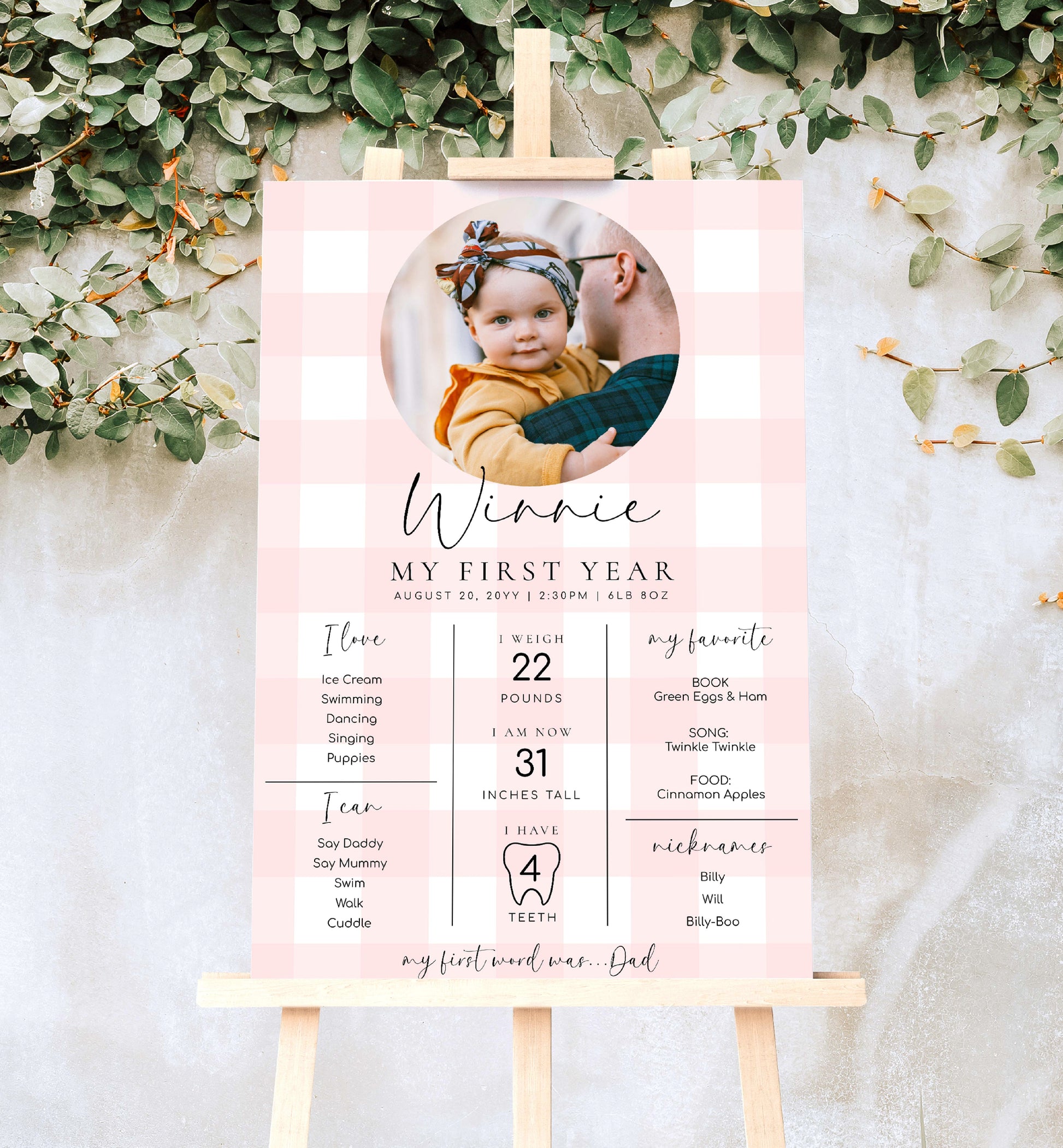 Printable Baby Milestone Board, Pink Gingham Check, Baby's First Year Poster, 1st Birthday 12 Months Milestone Photo Banner Sign