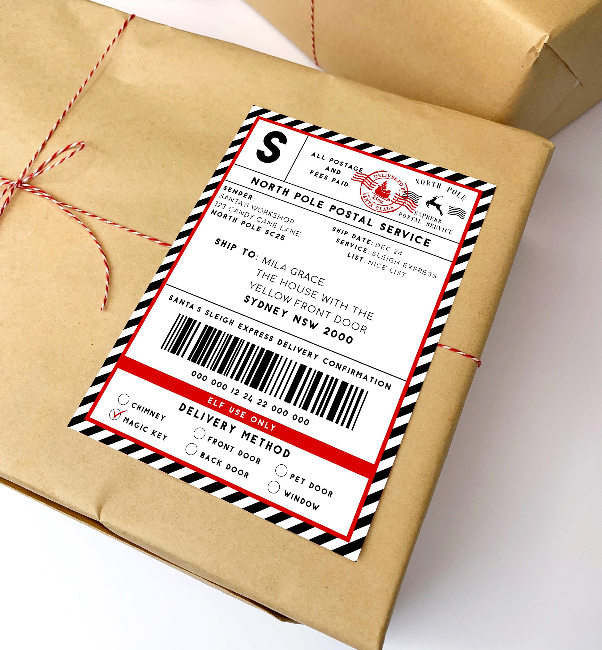 Printable Courier Shipping Label, Santa Mail North Pole Shipping Label Sticker, Christmas Special Delivery Label, Christmas Santa Gift Tag