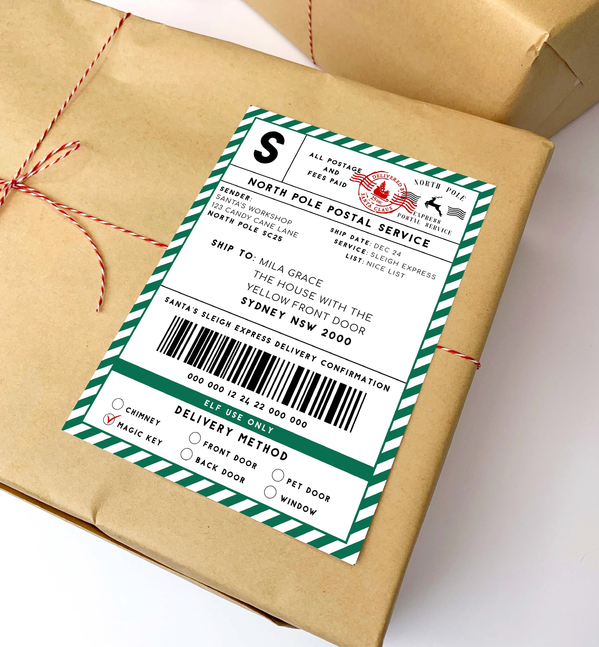 Printable Santa Mail North Pole Shipping Label Sticker, Christmas Special Delivery Shipping Label Template, Christmas Santa Gift Tag