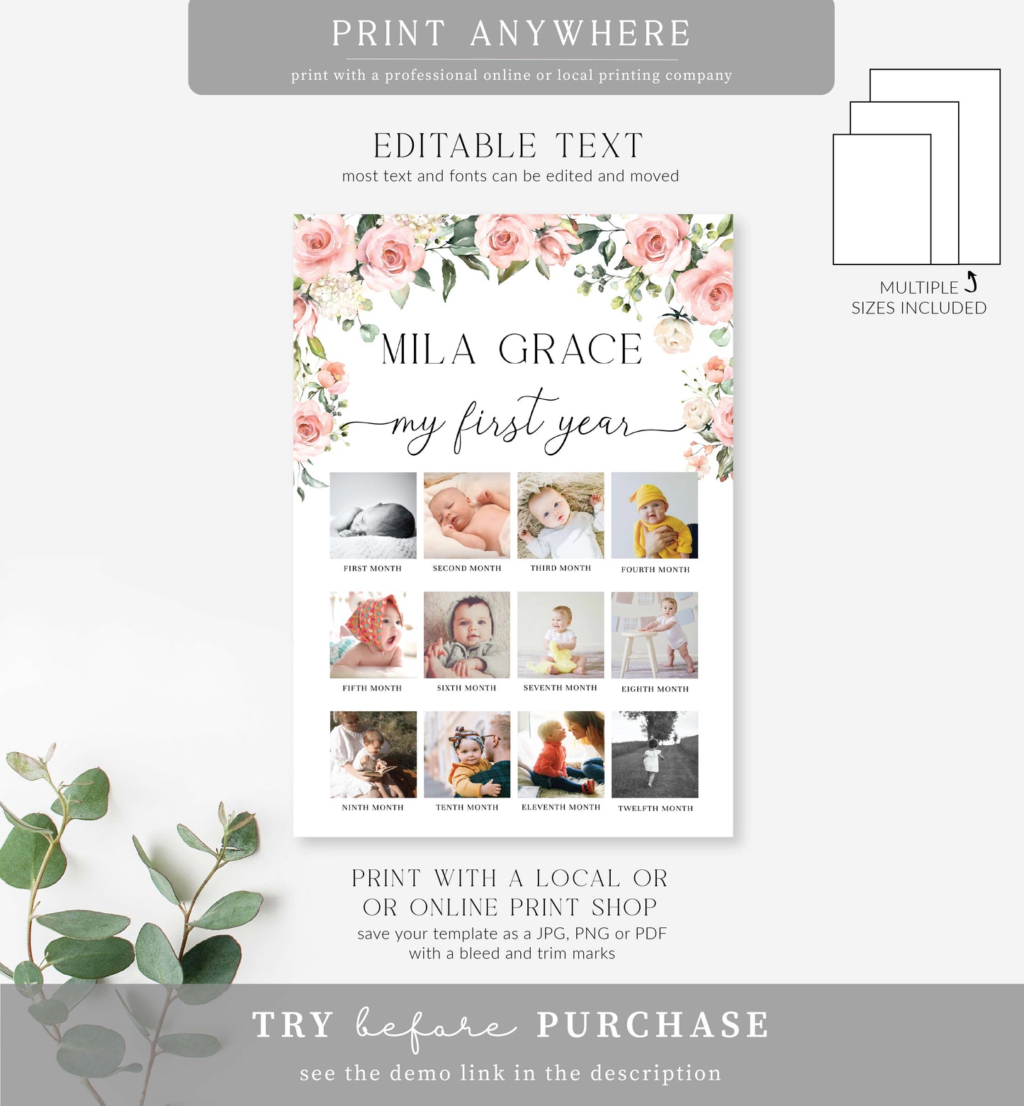 Darcy Floral Pink | Printable My First Year Photo Timeline Sign Template