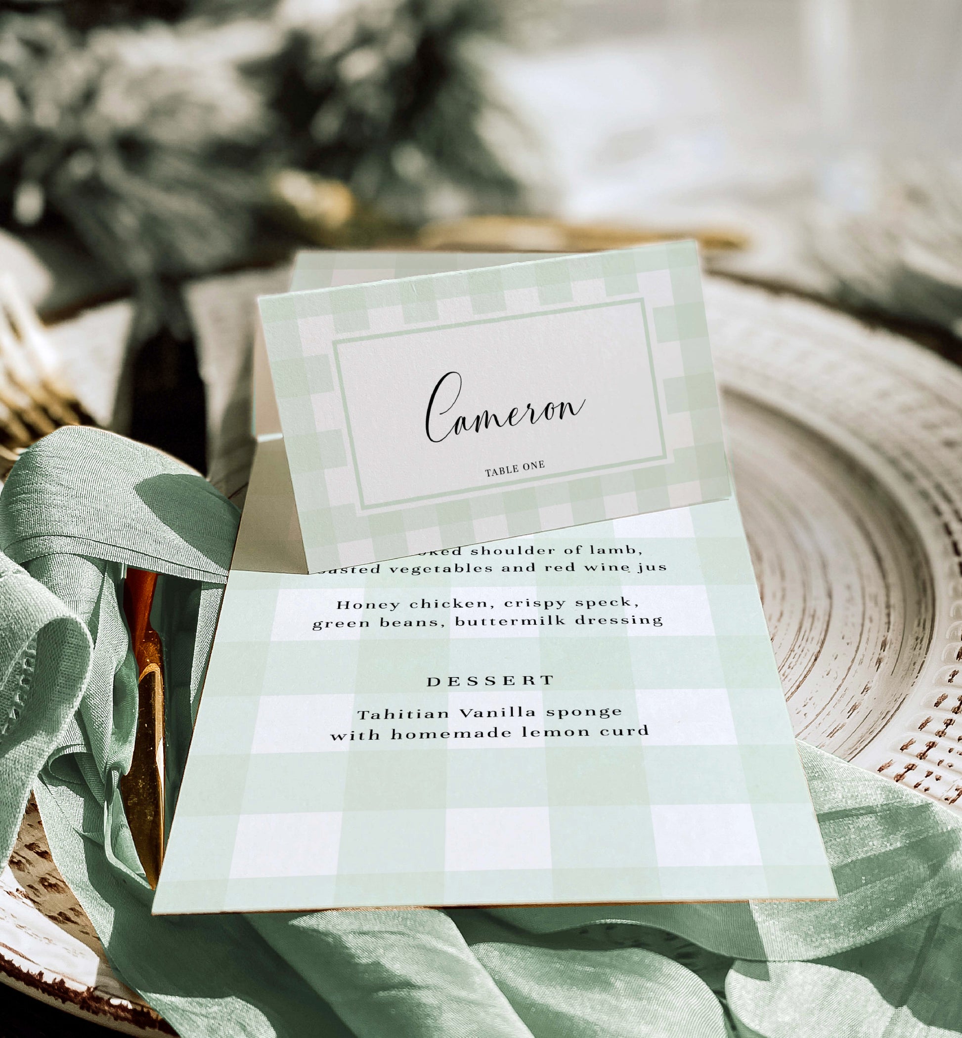 Mint Green Gingham Place Card Template, Printable Baby Shower Names Cards, Escort Cards, Wedding Name Cards, Gender Neutral Baby Shower