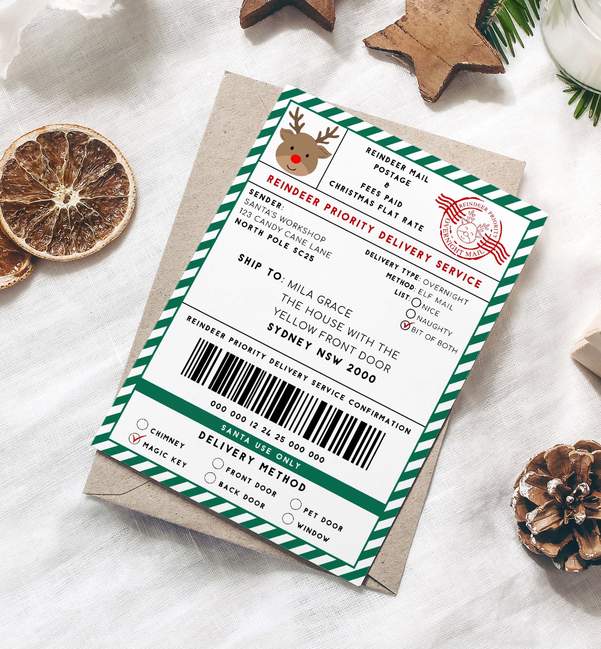 Printable Reindeer Mail North Pole Shipping Label Sticker, Christmas Special Delivery Shipping Label Template, Christmas Gift Tag, Green