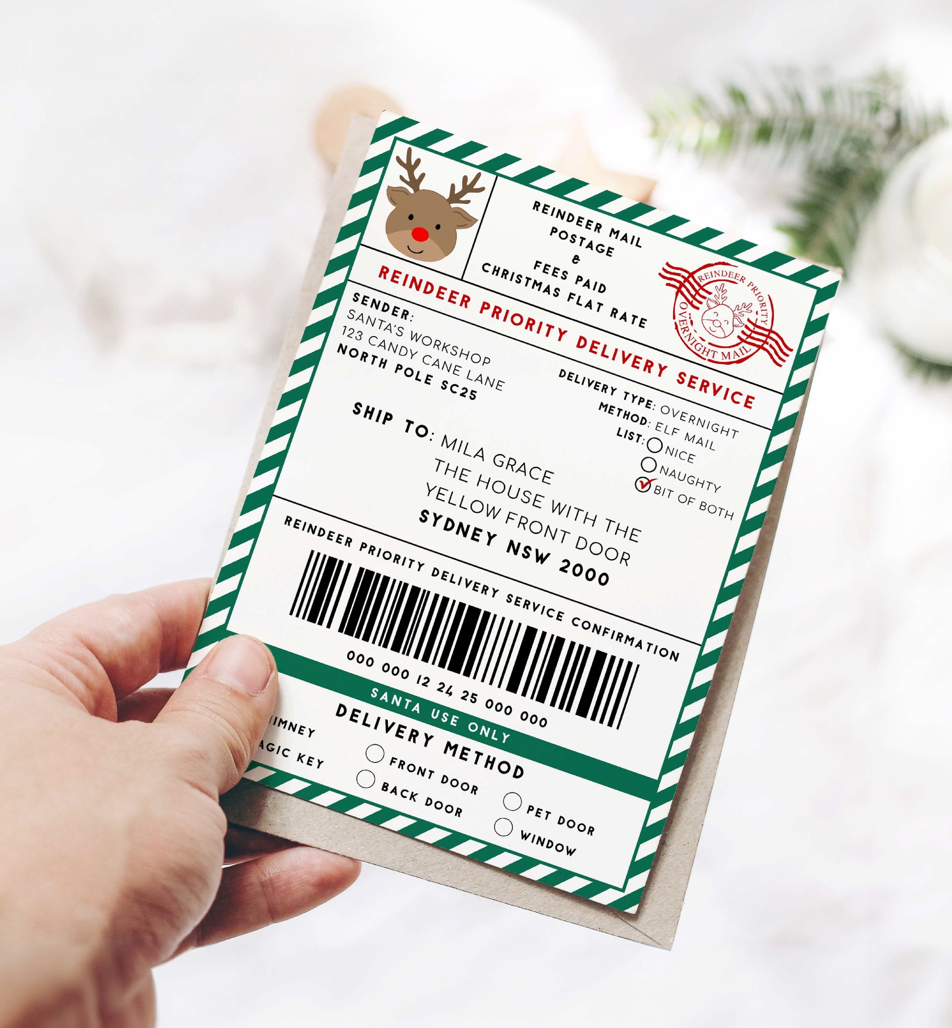 Printable Reindeer Mail North Pole Shipping Label Sticker, Christmas Special Delivery Shipping Label Template, Christmas Gift Tag, Green