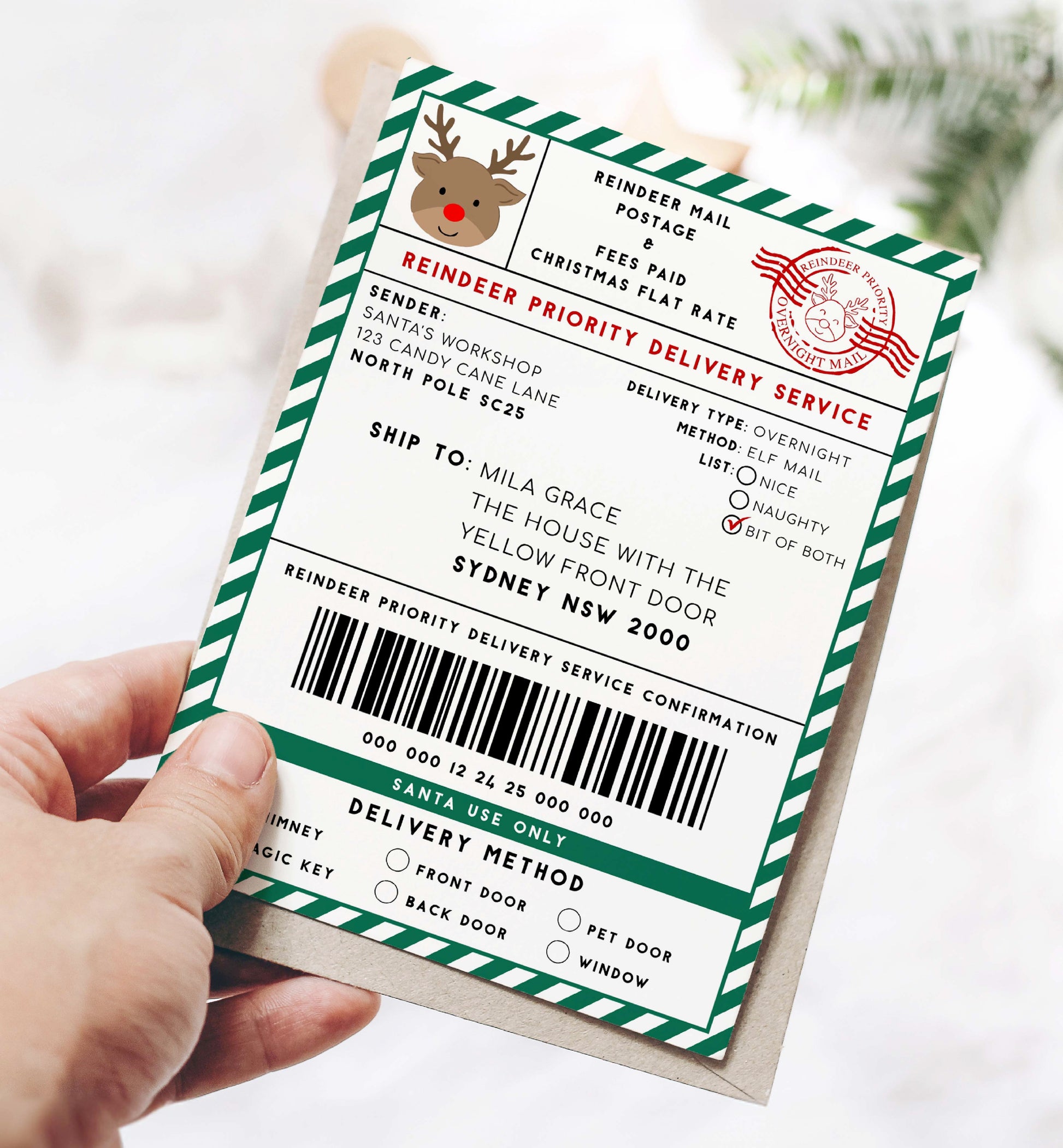 Printable Reindeer Mail North Pole Shipping Label Sticker, Christmas Special Delivery Shipping Label Template, Christmas Gift Tag, Green