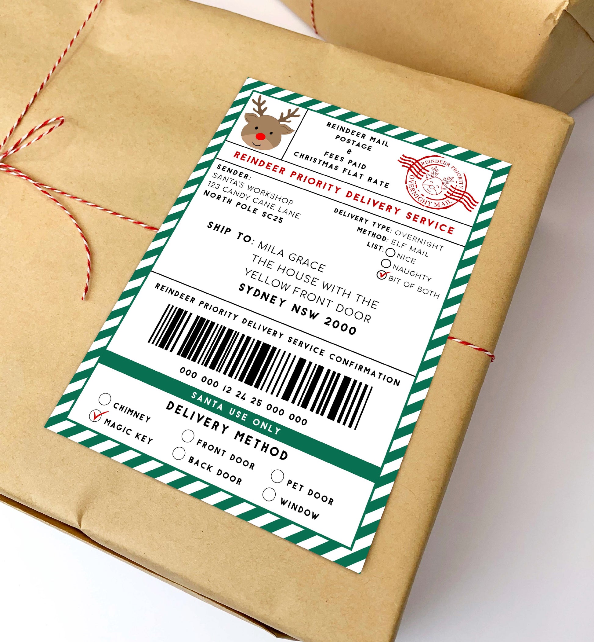Printable Reindeer Mail North Pole Shipping Label Sticker, Christmas Special Delivery Shipping Label Template, Christmas Gift Tag, Green