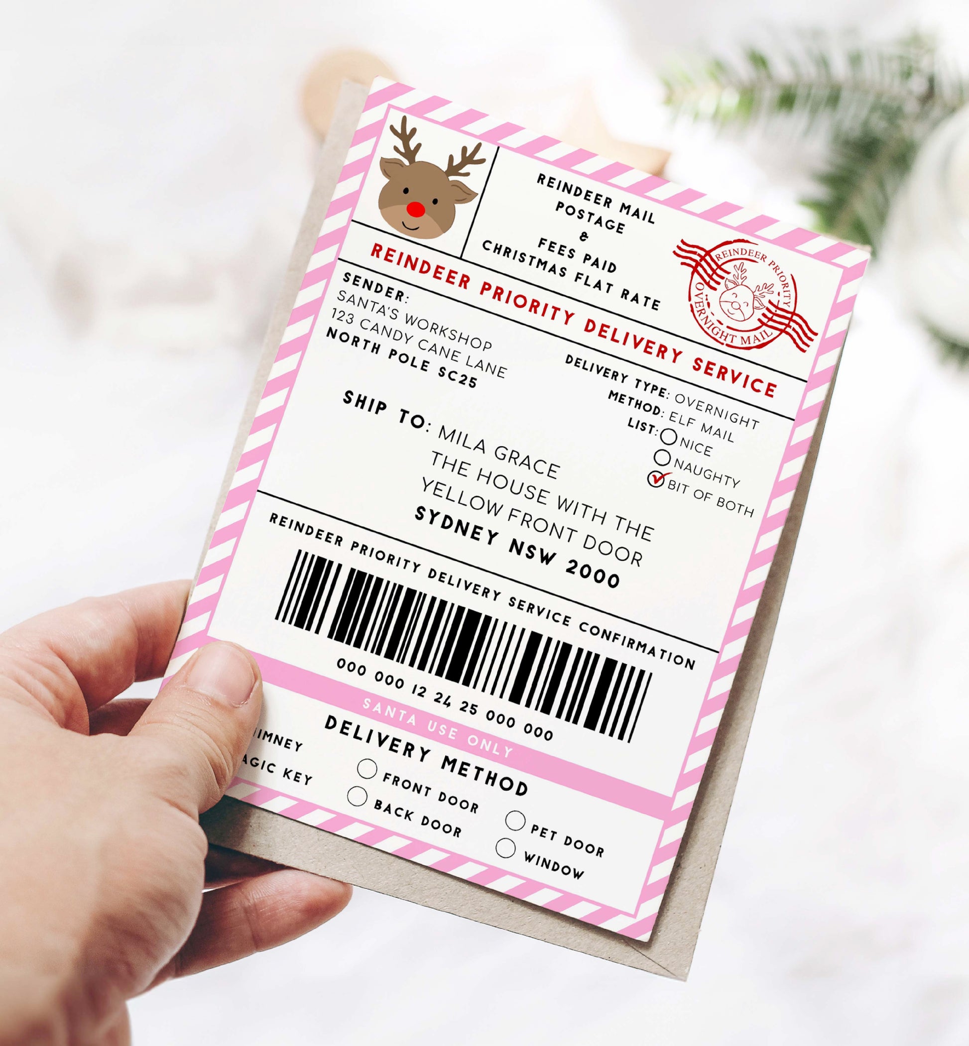 Printable Reindeer Mail North Pole Shipping Label Sticker, Christmas Special Delivery Shipping Label Template, Christmas Gift Tag