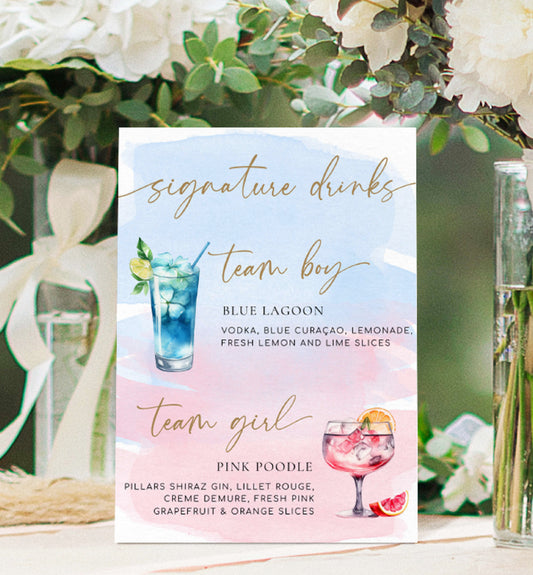 Team Girl Team Boy Drinks Menu Sign, Pink Blue Watercolour, Printable Baby Shower Menu Bar Sign, Couples Shower Drinks Sign, Mocktails Sign