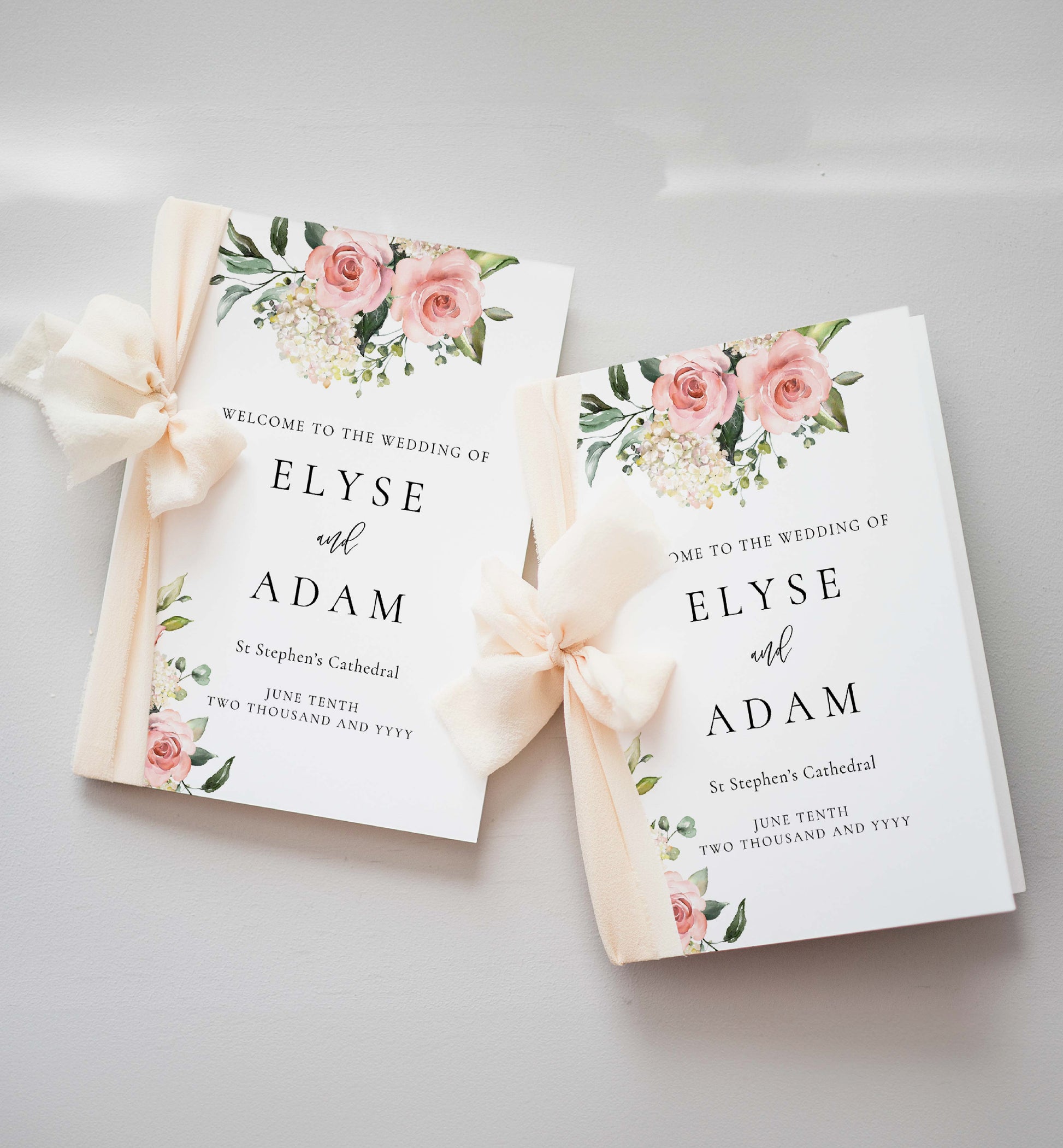 Printable Wedding Ceremony Program Template, Blush Pink Floral, Wedding Order of Ceremony Booklet Program, Single Fold Program, Darcy