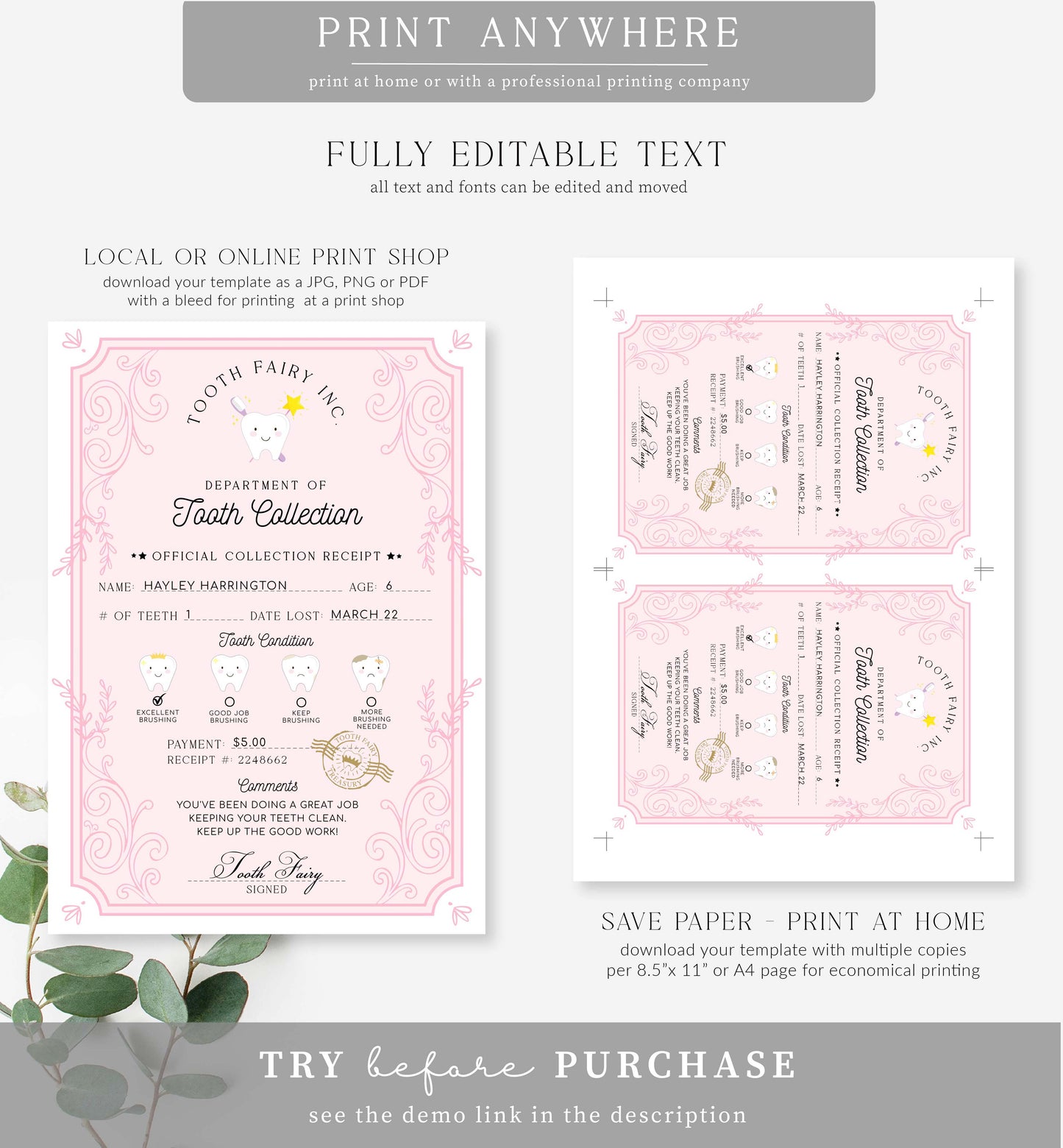 Tooth Fairy Pink White | Printable Tooth Collection Letter Template