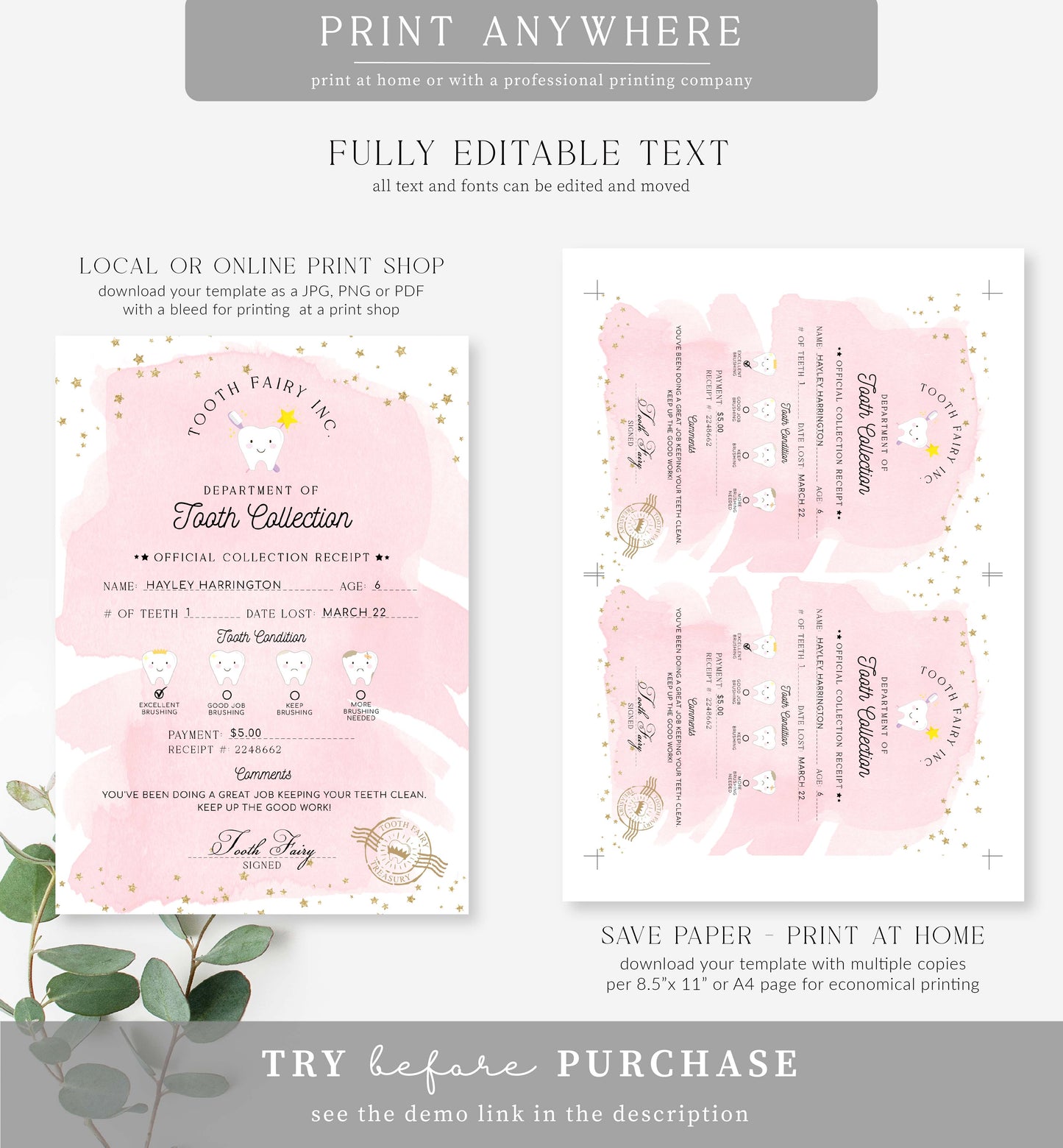 Tooth Fairy Pink | Printable Tooth Collection Letter and Receipt Template