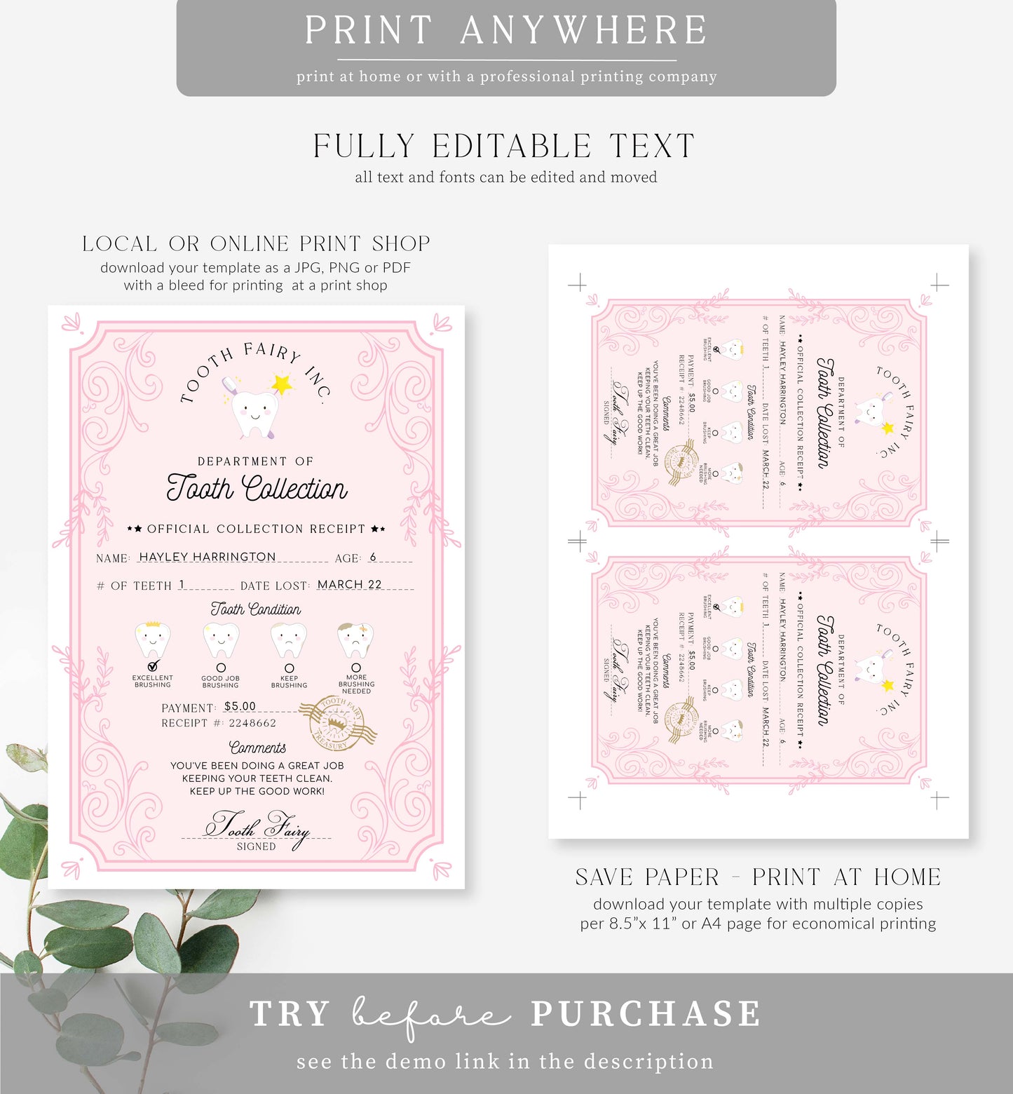 Tooth Fairy Pink White | Printable Tooth Collection Letter and Receipt Template