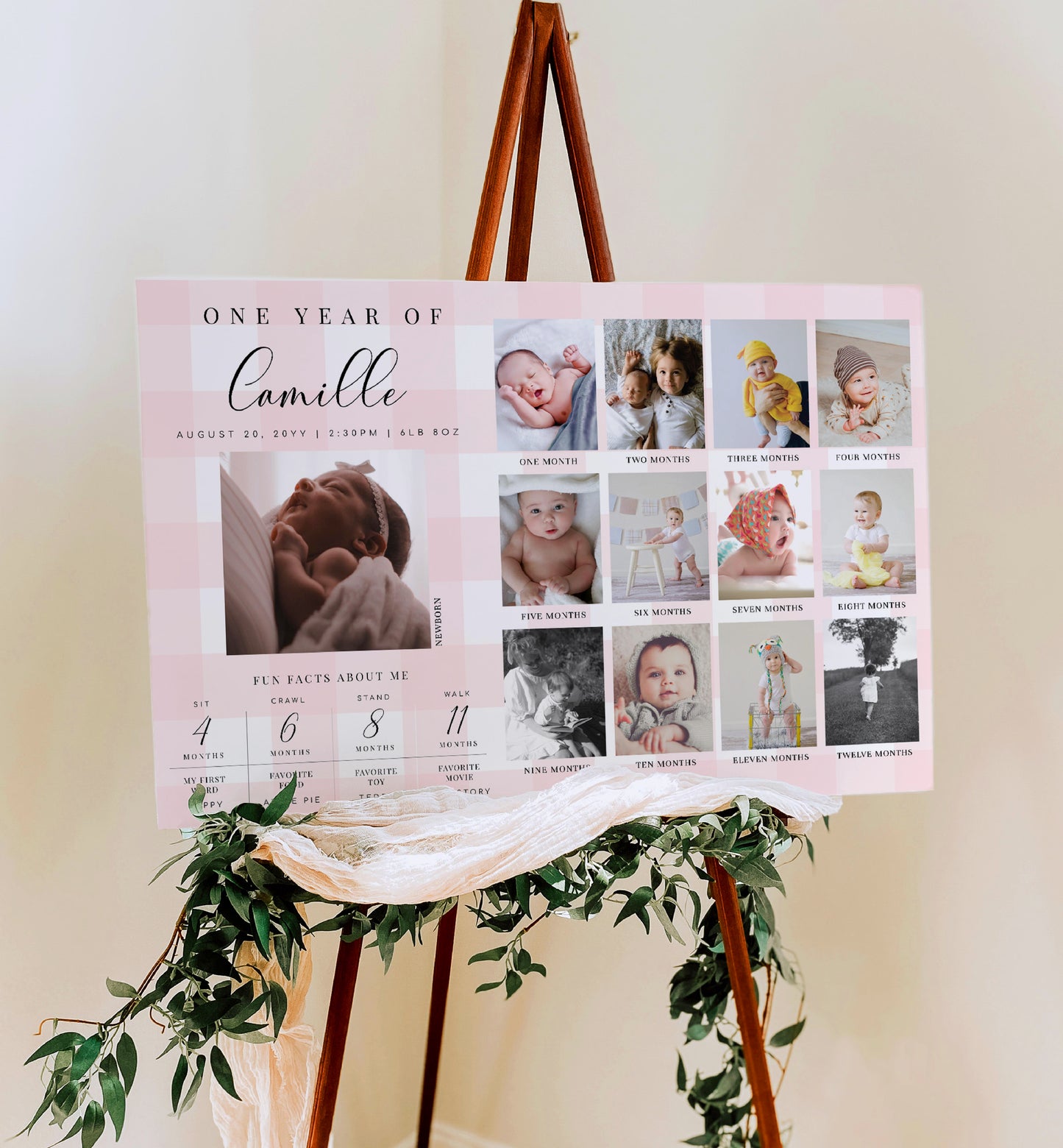 Gingham Pink | Printable Birthday Photo Timeline Sign Template