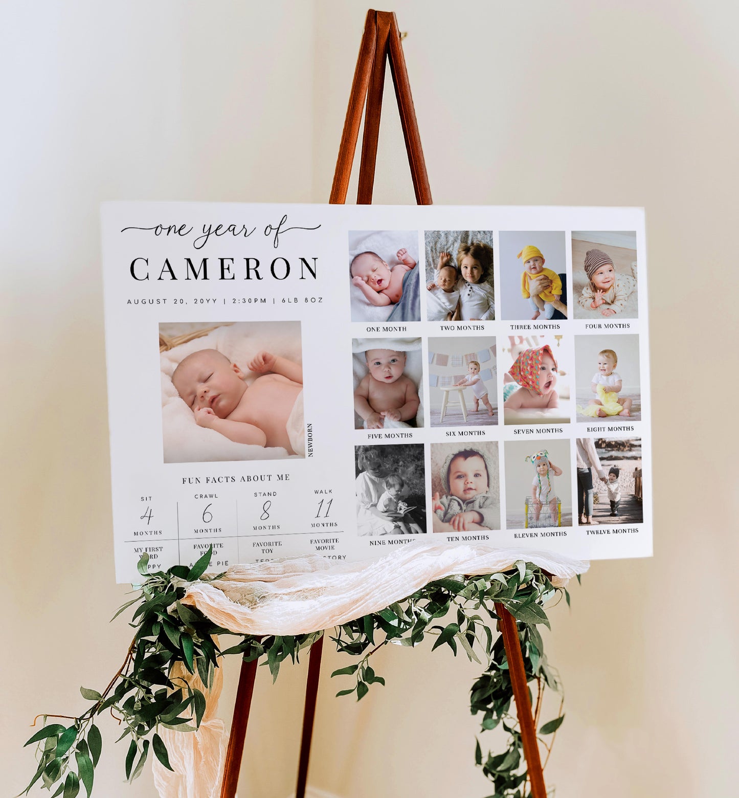 Quinn Script White | Printable First Year Photo Timeline Sign Template