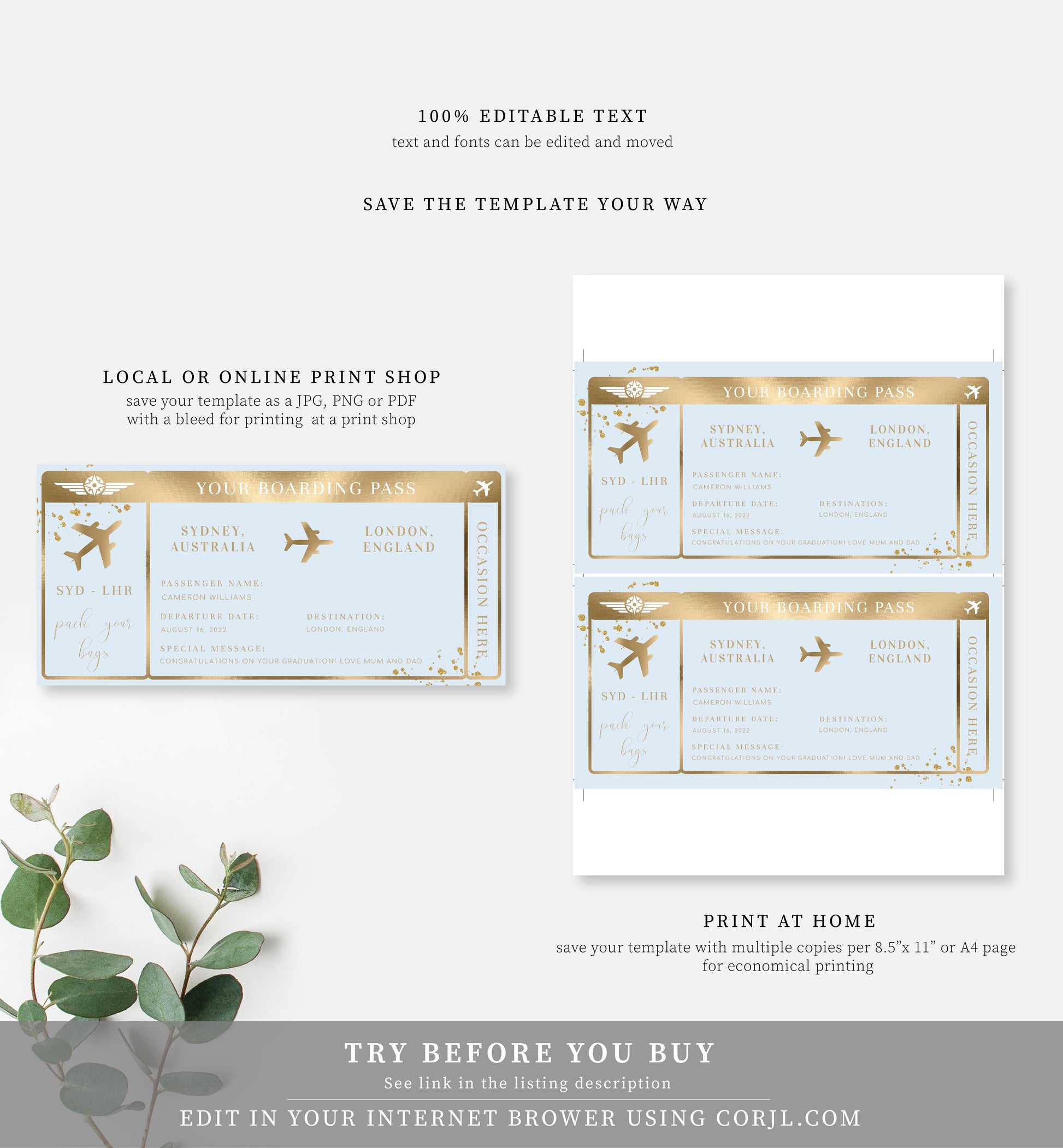 Paintly Blue | Printable Boarding Pass - Black Bow Studio