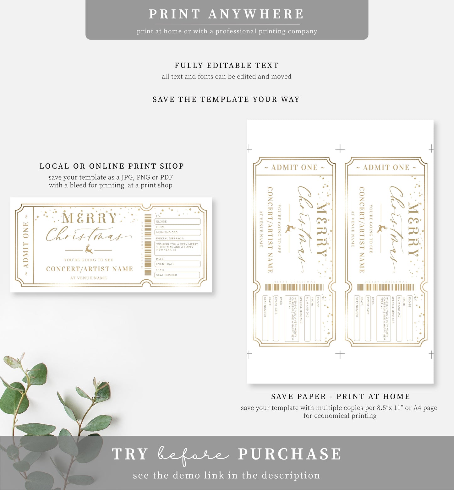 Paintly White Gold | Printable Concert Christmas Custom Gift Voucher Template
