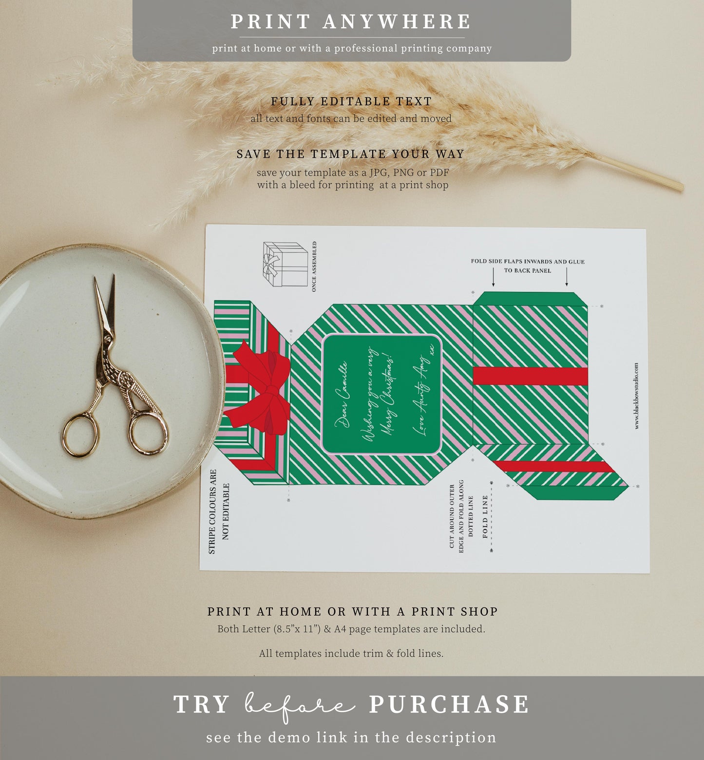 Stripe Green Pink | Printable Christmas Present Money Wallet Template