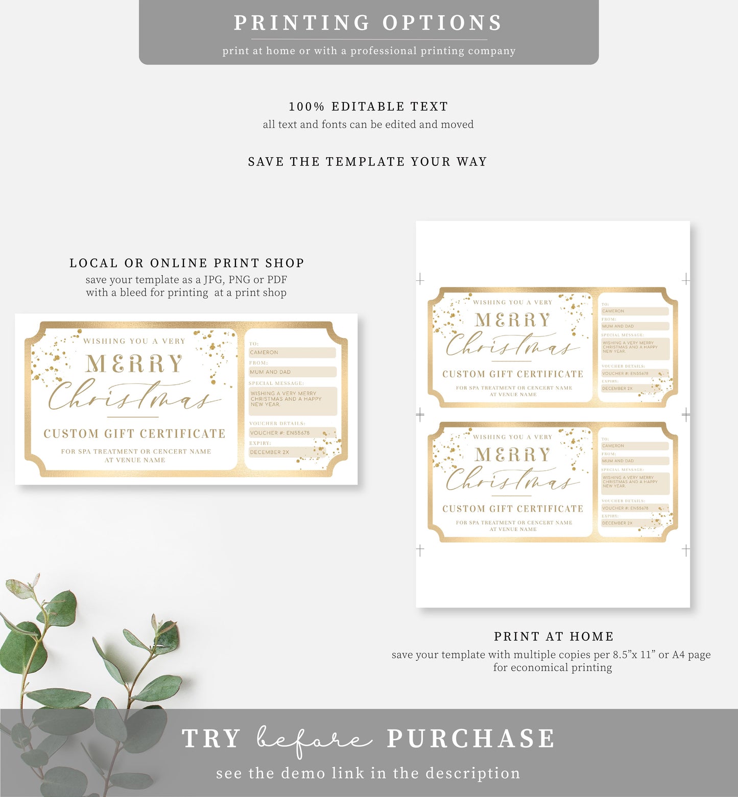 Paintly White Gold | Printable Custom Christmas Gift Voucher Template