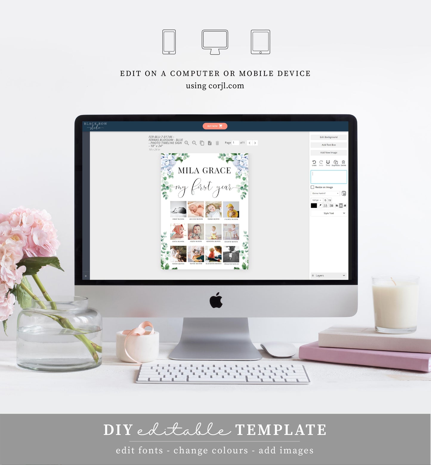 Ferras Blossom Blue | Printable My First Year Photo Timeline Sign Template