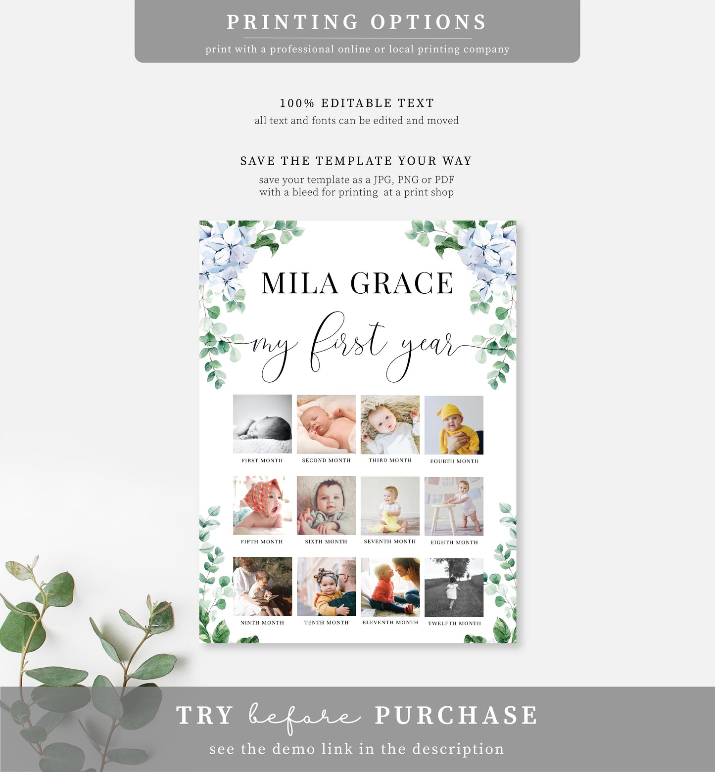 Ferras Blossom Blue | Printable My First Year Photo Timeline Sign Template