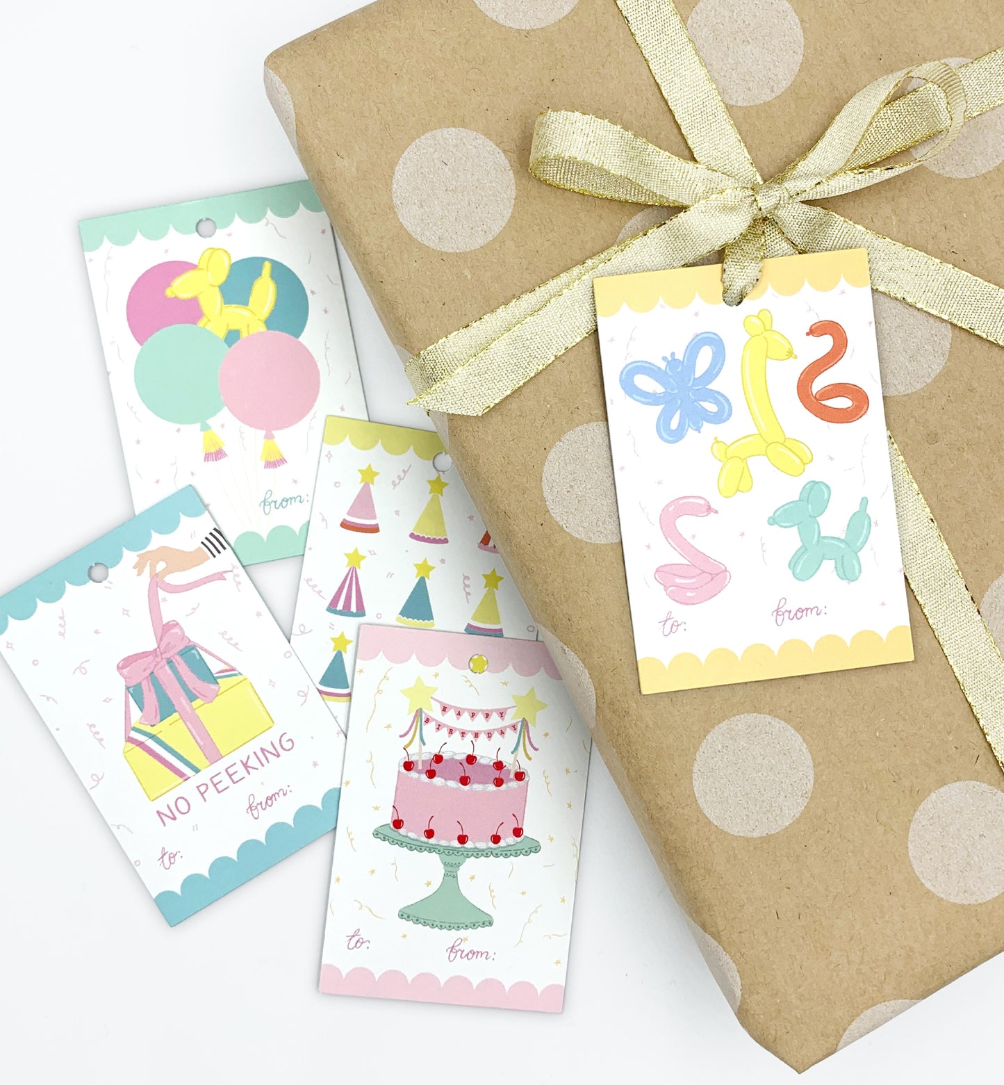 Birthday Party Multi | Set of 10 Gift Tags