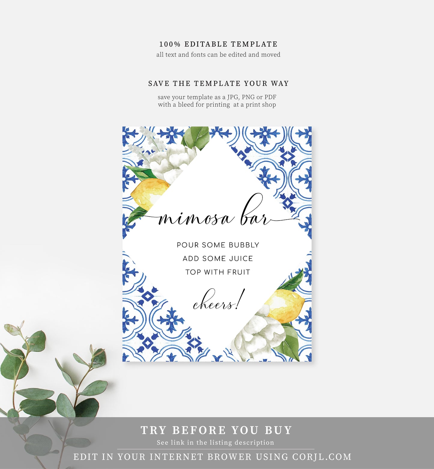 The Med Lemons | Printable Mimosa Bar Sign and Juice Tags - Black Bow Studio