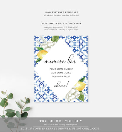 The Med Lemons | Printable Mimosa Bar Sign and Juice Tags - Black Bow Studio