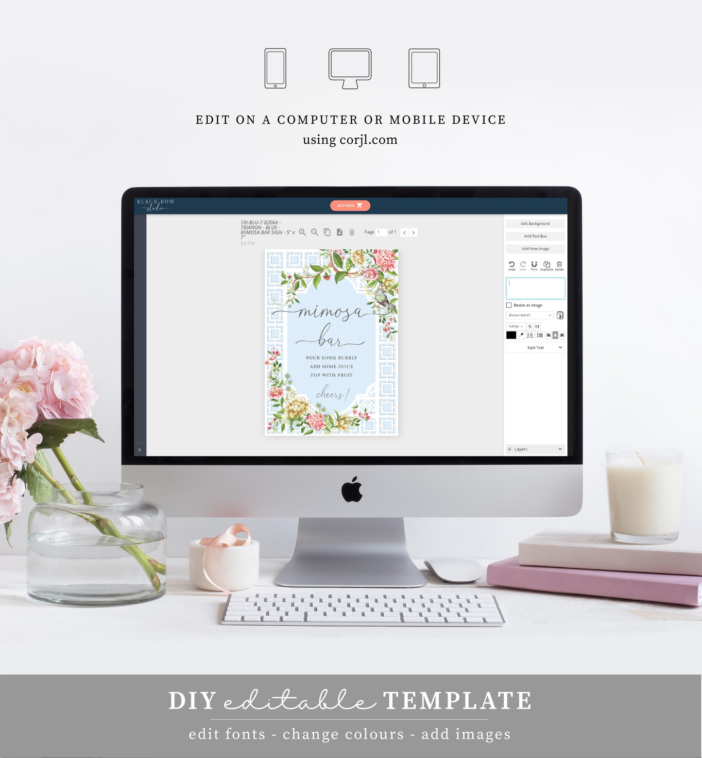 Trianon Blue | Printable Mimosa Bar Sign and Juice Tags