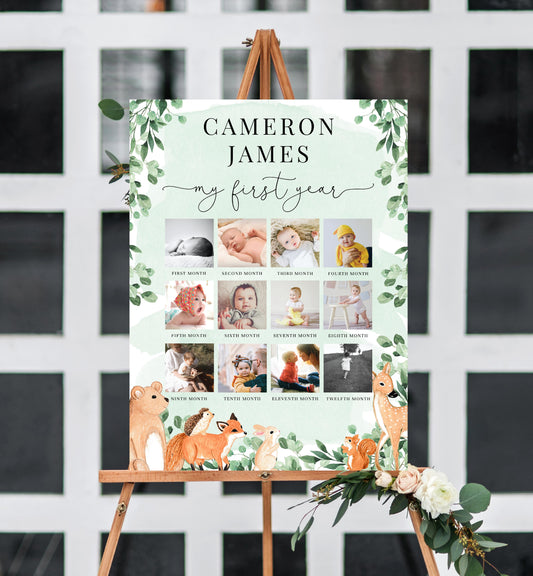 Woodland Animals Green | Printable My First Year Photo Timeline Sign