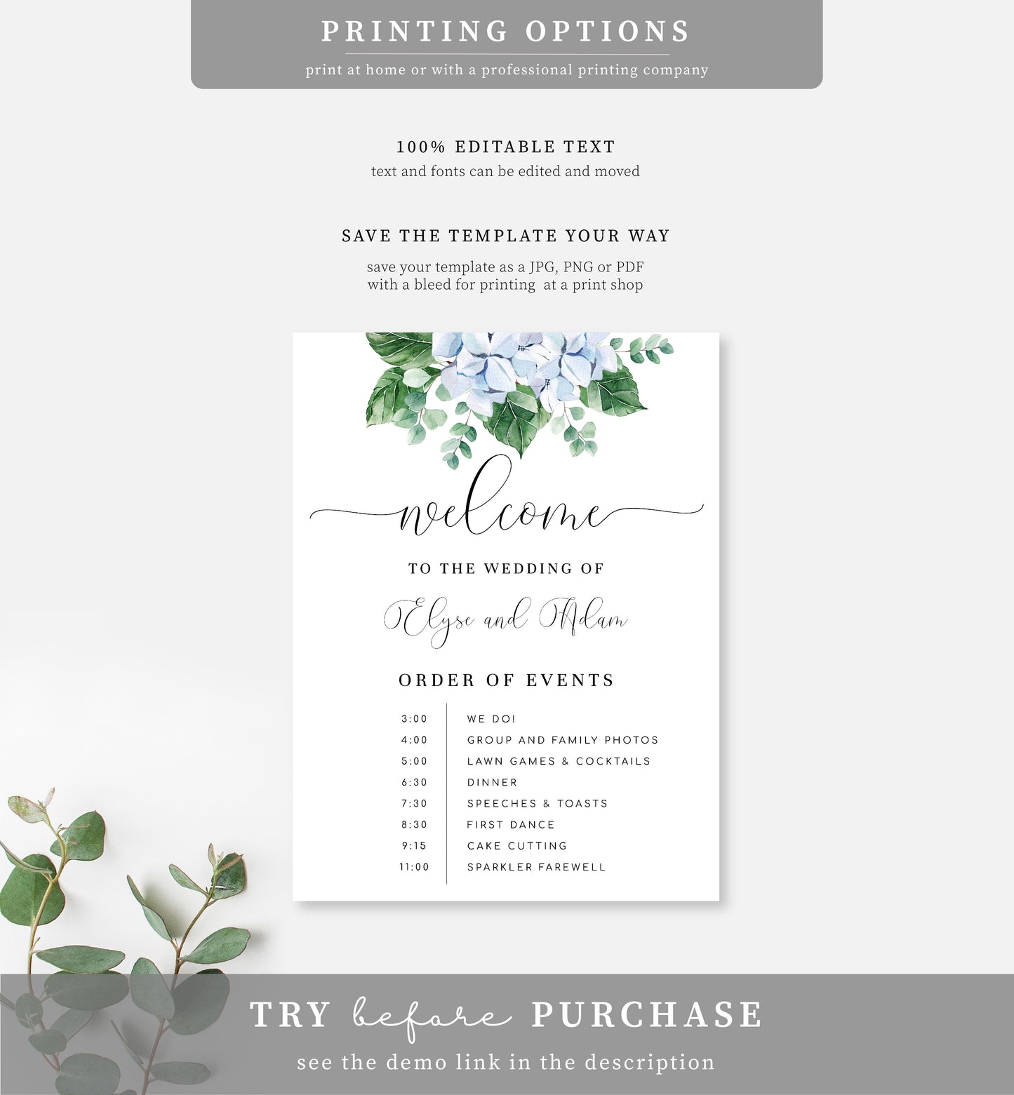 Ferras Blossom Blue | Printable Order Of Events Welcome Sign - Black Bow Studio