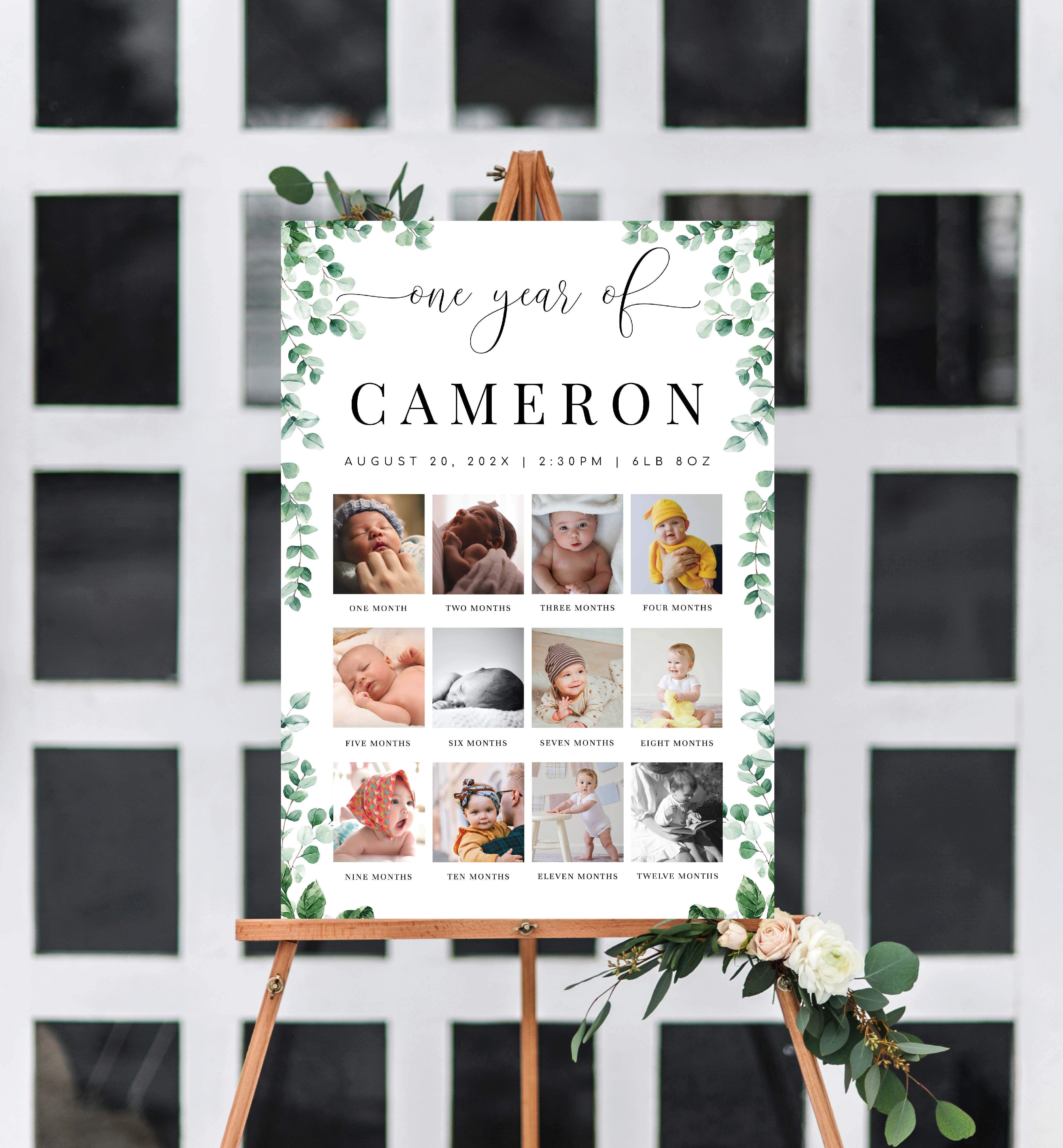 My Timeline Sign Photo Timeline and Milestone Signs – Black Bow Studio