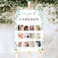 Ferras Greenery | Printable First Year Photo Timeline Sign Template