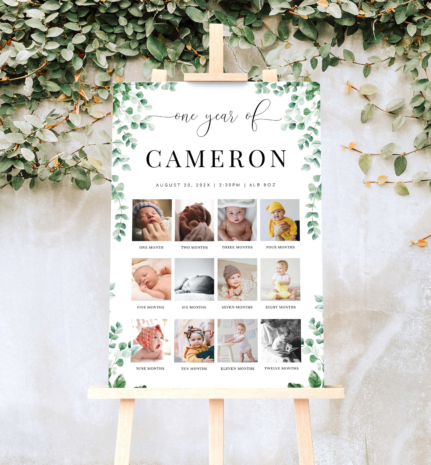 Ferras Greenery | Printable First Year Photo Timeline Sign Template