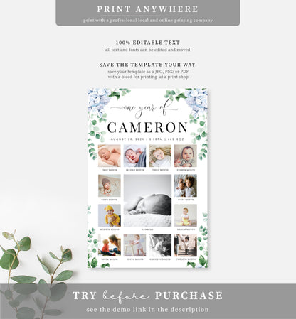 Ferras Blossom Blue | Printable My First Year Photo Timeline Sign Template