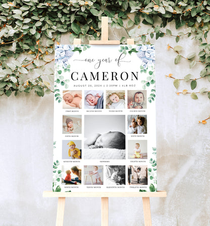 Ferras Blossom Blue | Printable My First Year Photo Timeline Sign Template