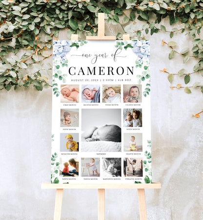Ferras Blossom Blue | Printable My First Year Photo Timeline Sign Template