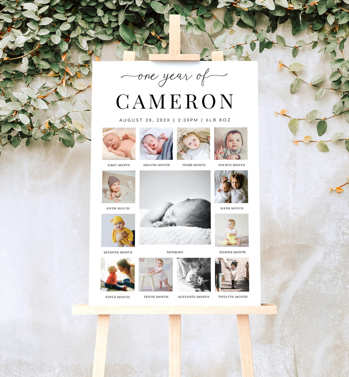 Quinn Script White | Printable My First Year Photo Timeline Sign ...