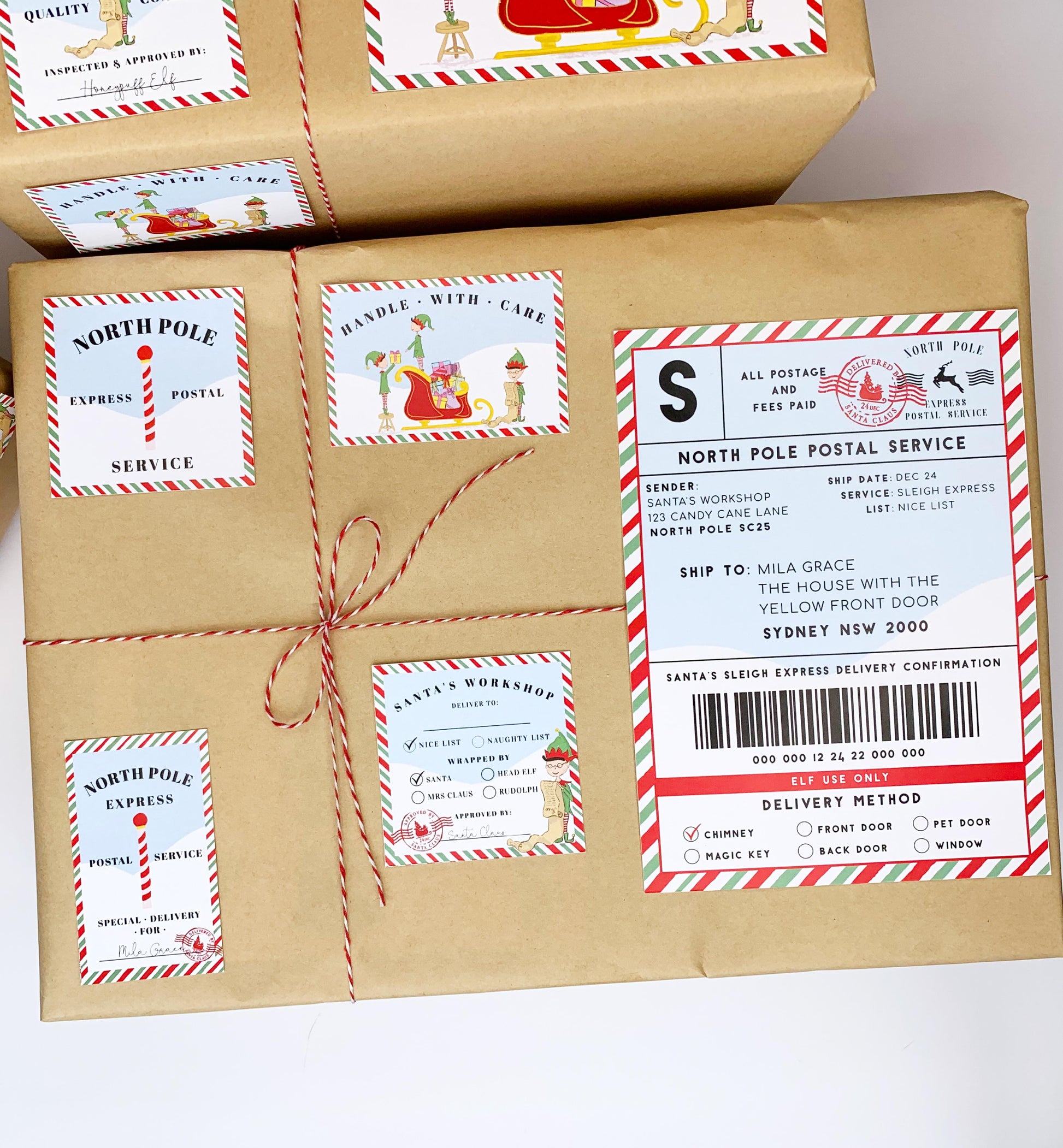 Christmas shipping label, Special overnight delivery for, custom