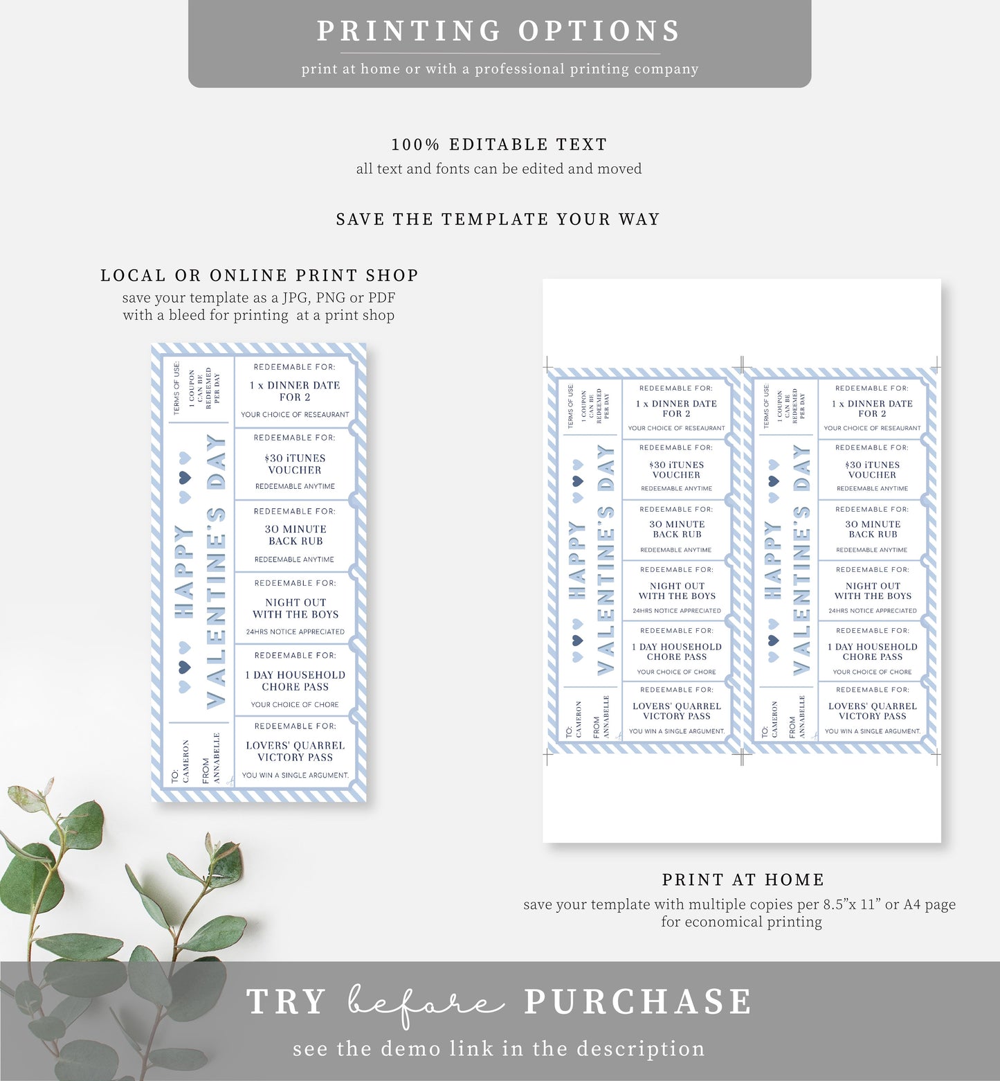 Stripe Blue White | Printable Valentine's Day Custom Love Coupons
