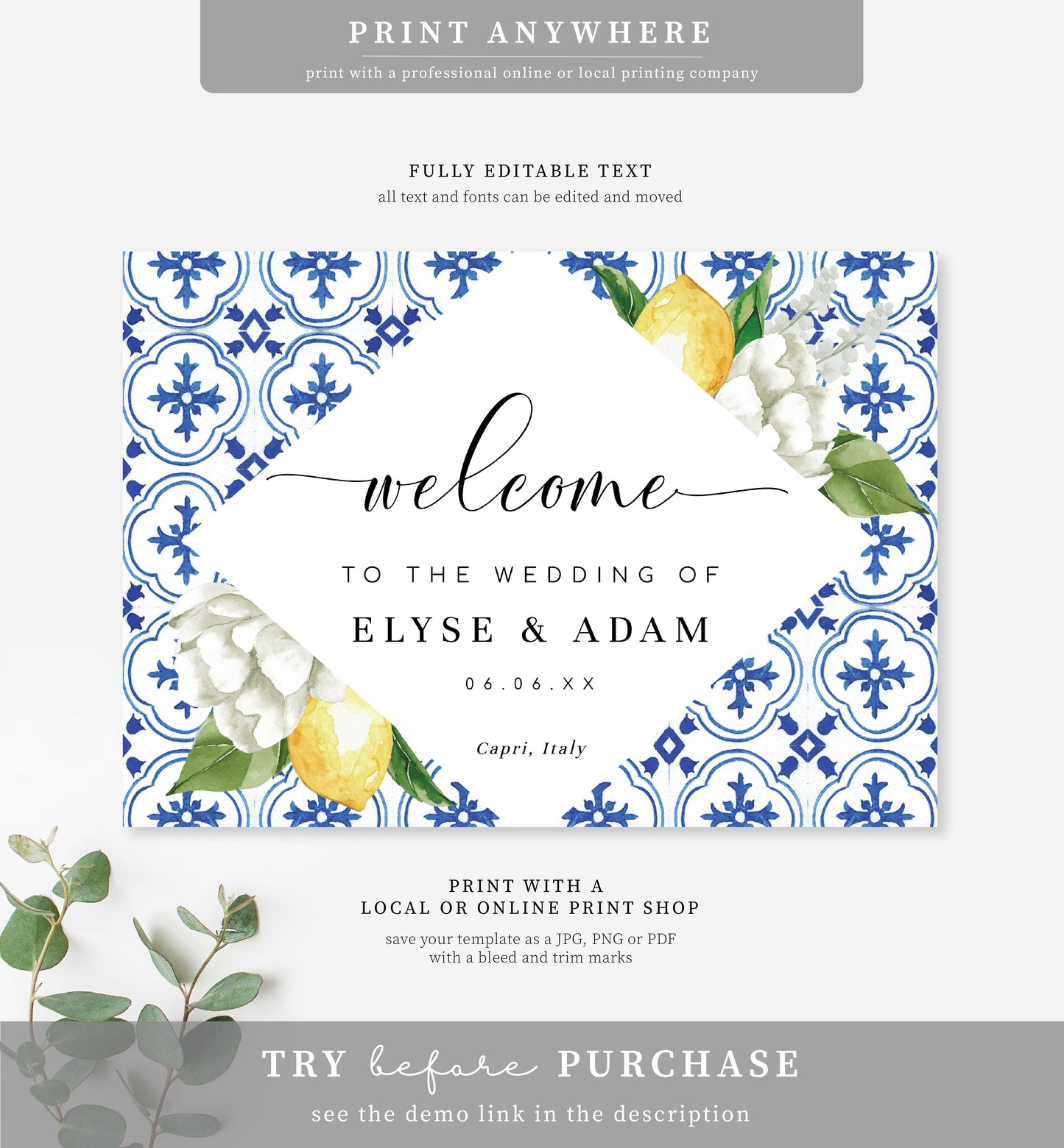 The Med Lemons | Printable Welcome Sign Template